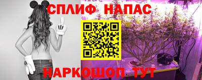 тгк Краснознаменск