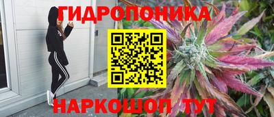 тгк Краснознаменск