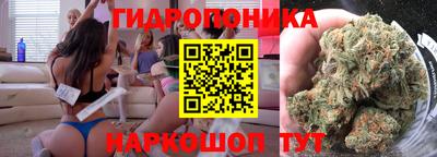 шишки Краснокаменск