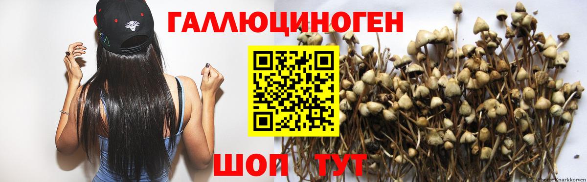 Псилоцибиновые грибы ЛСД  Псилоцибиновые грибы Cubensis  купить   Вход с VPN  Карпинск 
